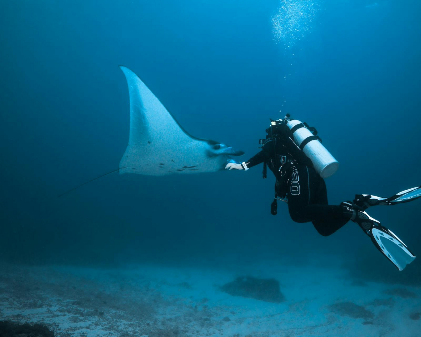 PADI Advanced Open Water Diver Course
