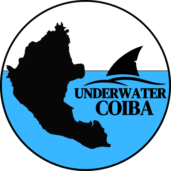 Underwater Coiba